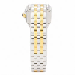 Santos de Cartier Demoiselle 20MM W25066Z6 18K/ Steel Watch